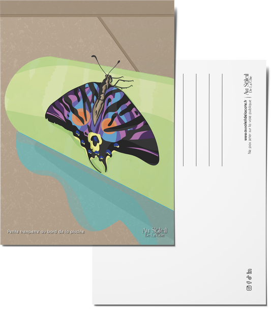 Carte postale – Petite trempette au bord de la piscine