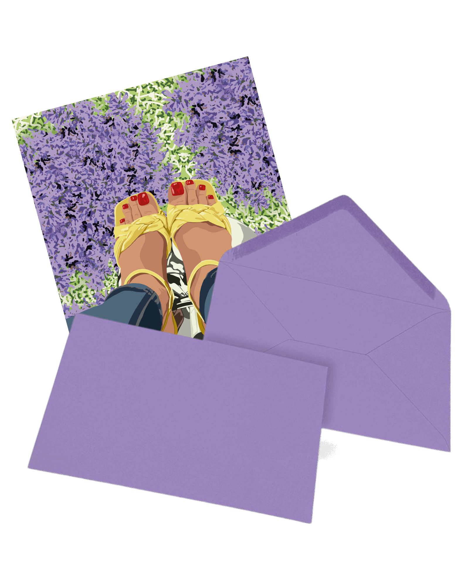 Carte Postale -  Petits petons dans les champs de lavande